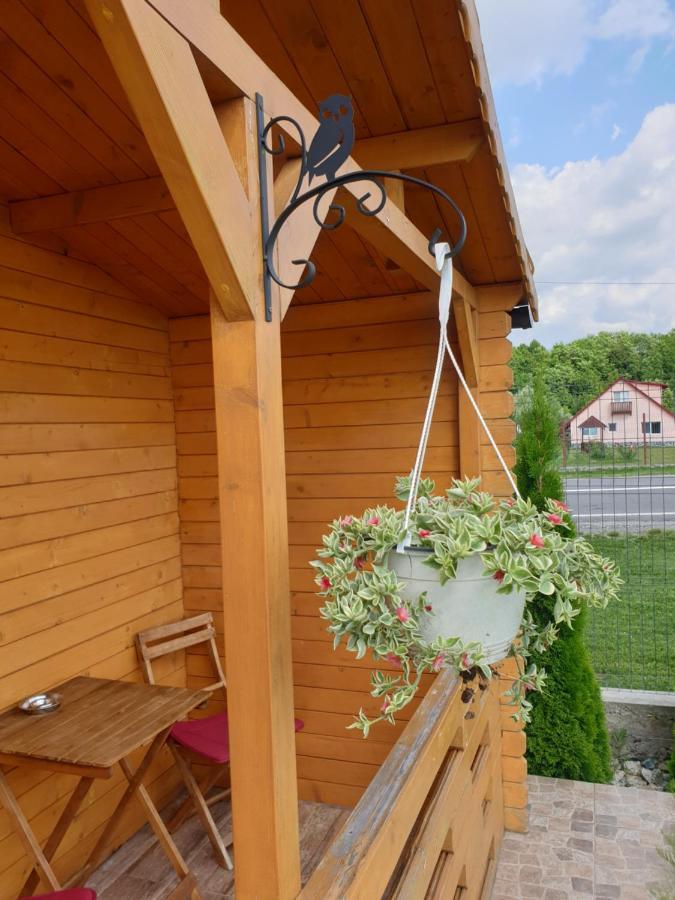 Lodge Casa Fericirii Cîrţişoara