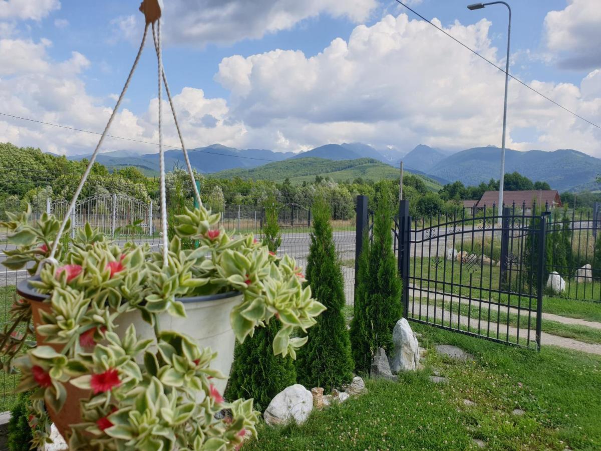 Casa Fericirii * Cîrţişoara
