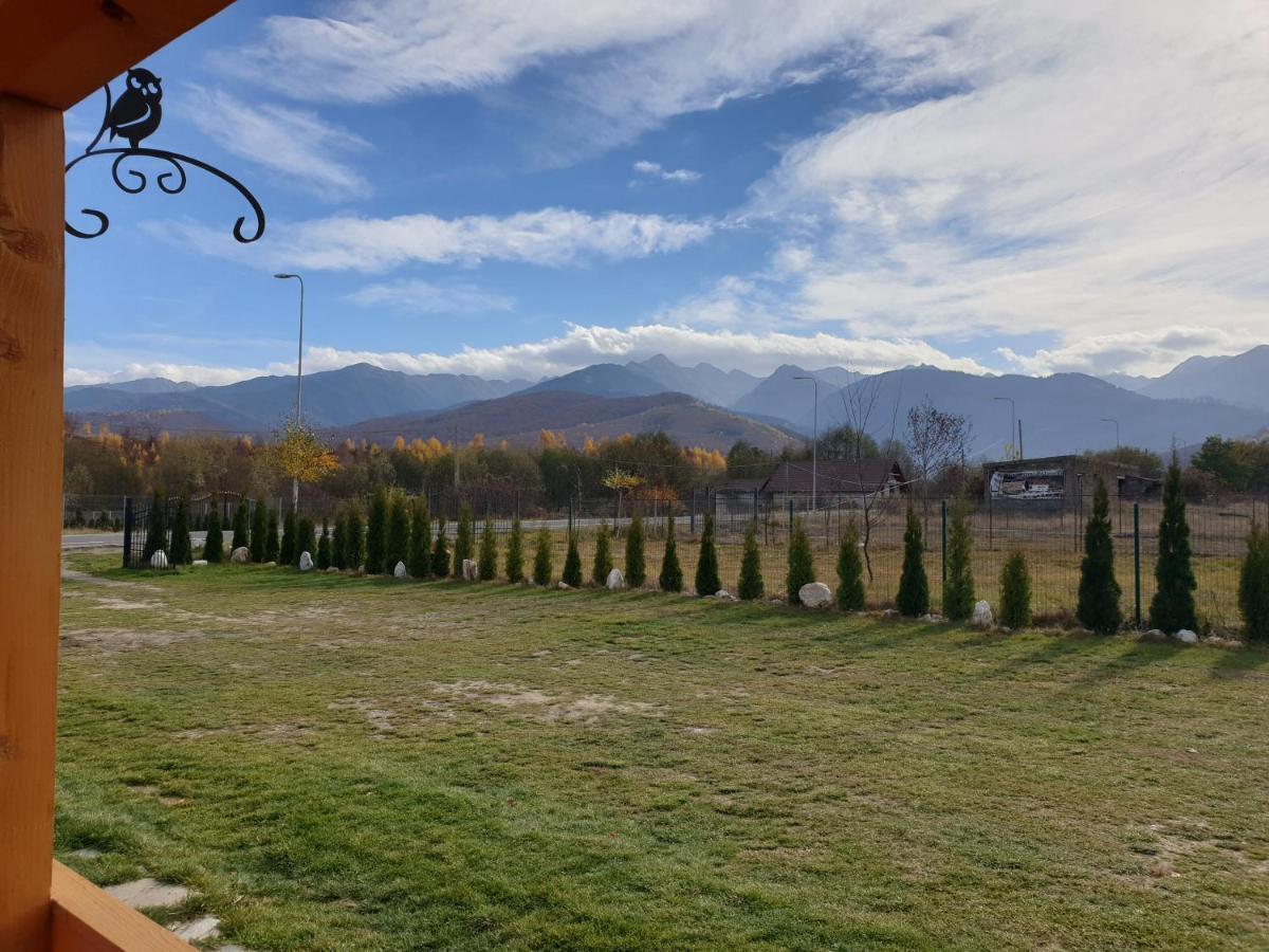 Casa Fericirii Lodge Cîrţişoara