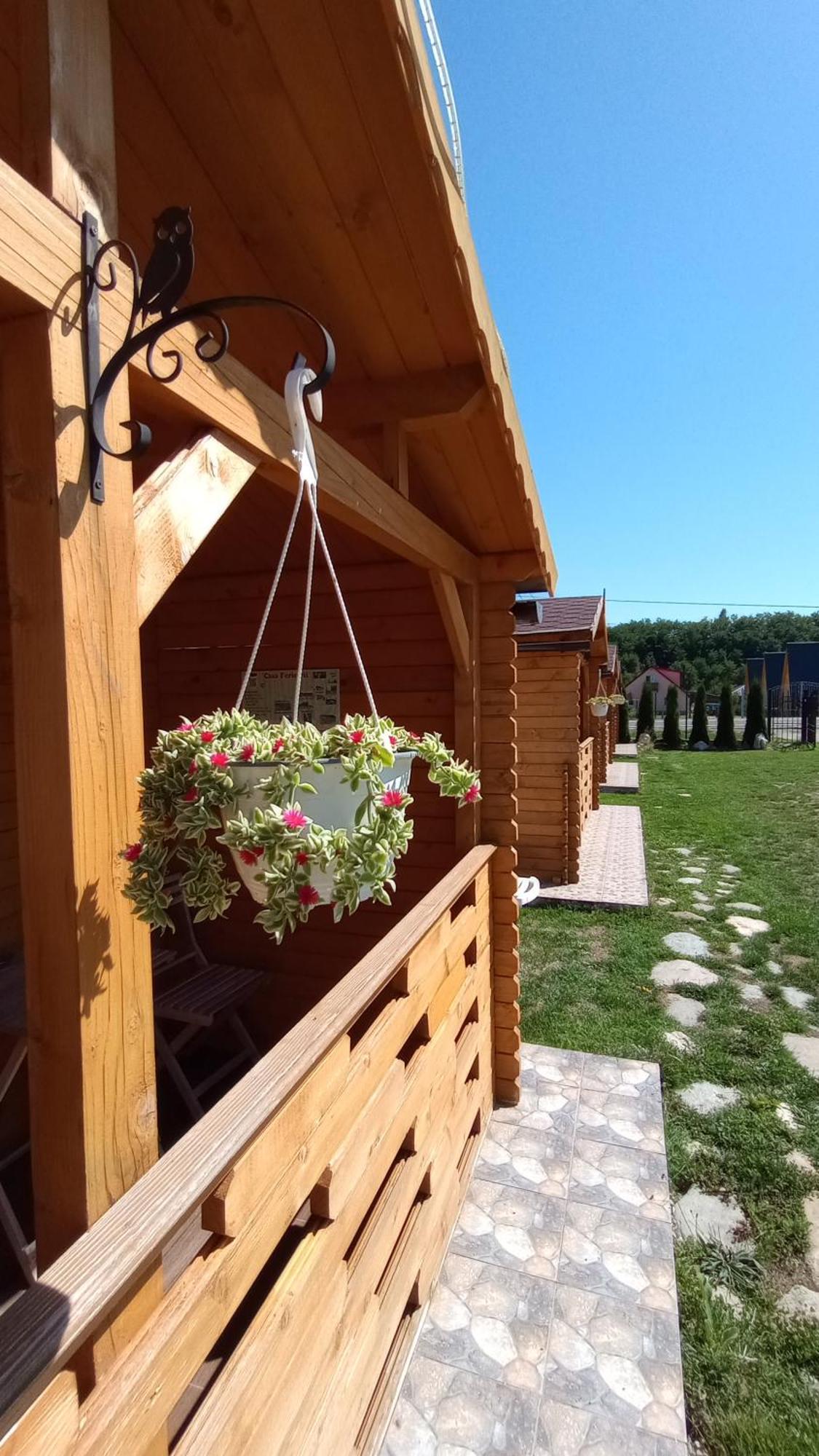 Lodge Casa Fericirii *
