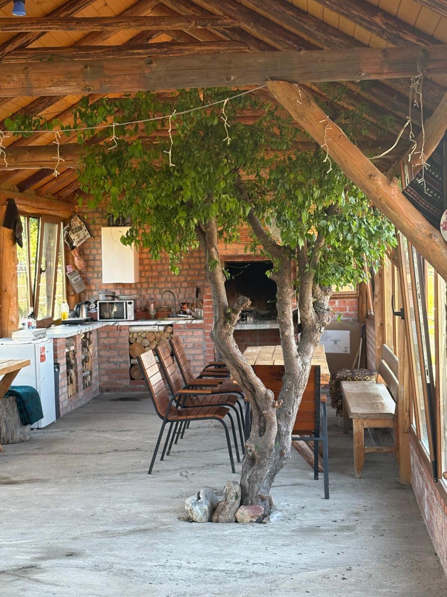 Lodge Casa Fericirii